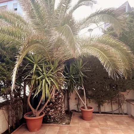 Casascostadorada Ametlla De Mar Casa Primera Linea Holiday home *